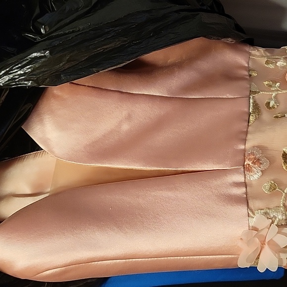 Tiffany Brand Pink Prom/Pageant Formal Gown Women's Size 8 (fits more like a 6) - Picture 4 of 10